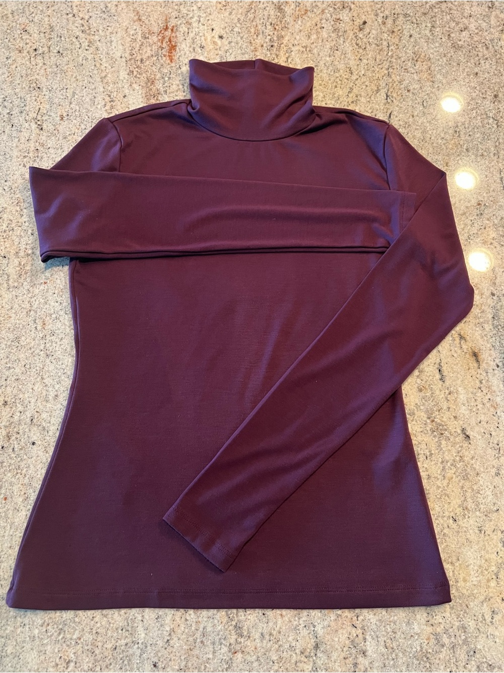 Aritzia’s Babaton Burgundy Turtleneck Long Sleeve Top